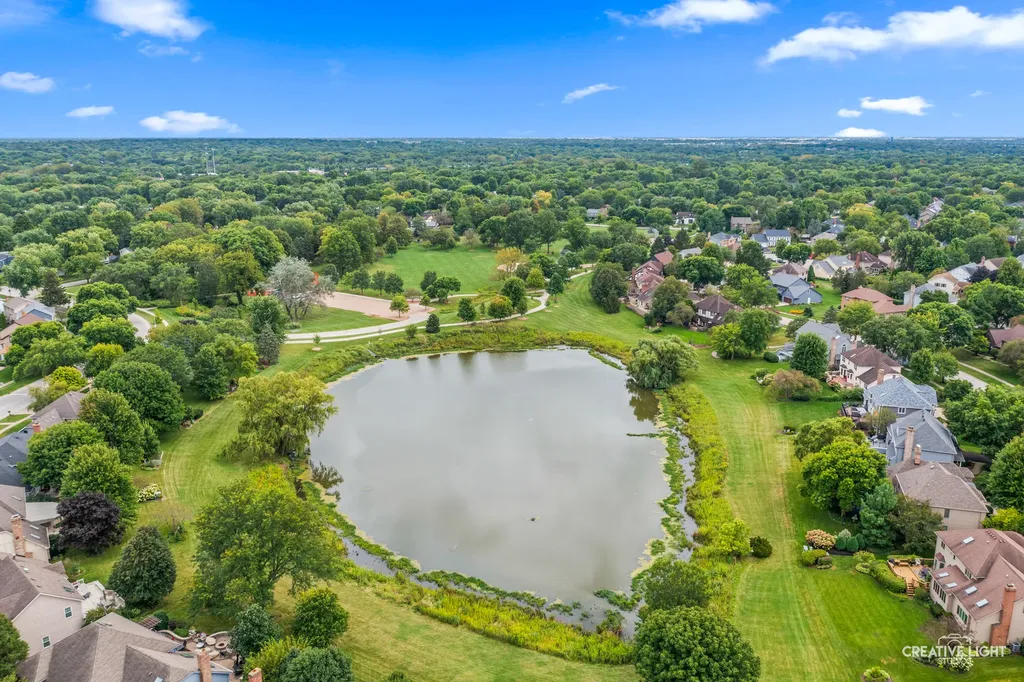 1644 Riparian Drive Naperville IL 60565