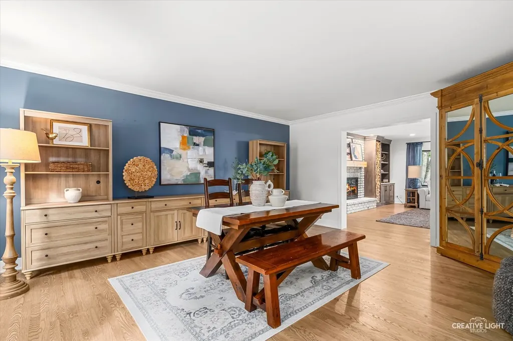 1644 Riparian Drive Naperville IL 60565