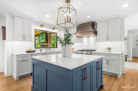 1644 Riparian Drive Naperville IL 60565