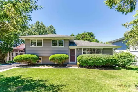 1407 Washington Street Lake In The Hills IL 60156
