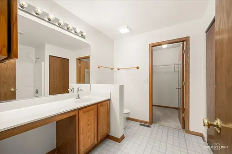 5313 White Oaks Court Plainfield IL 60586