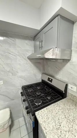 341 West 24th Street Chicago IL 60616