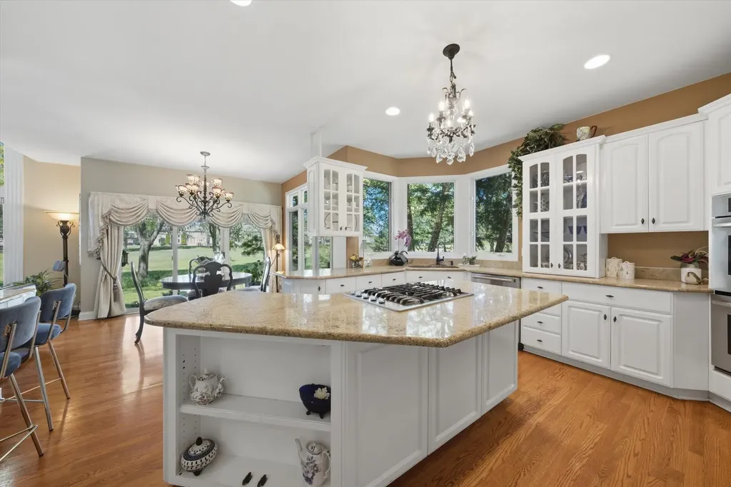 1108 Chadwick Court Aurora IL 60502