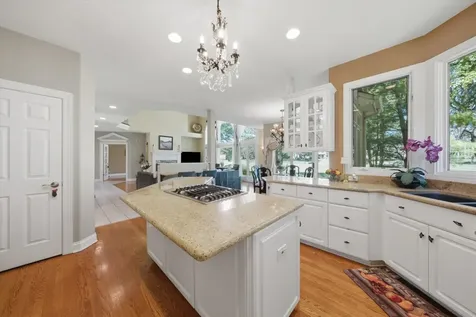 1108 Chadwick Court Aurora IL 60502