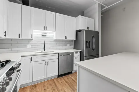 523 South Plymouth Court Chicago IL 60605