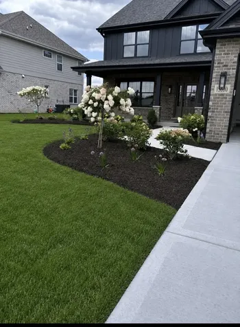 15610 South 82 Avenue Orland Park IL 60467