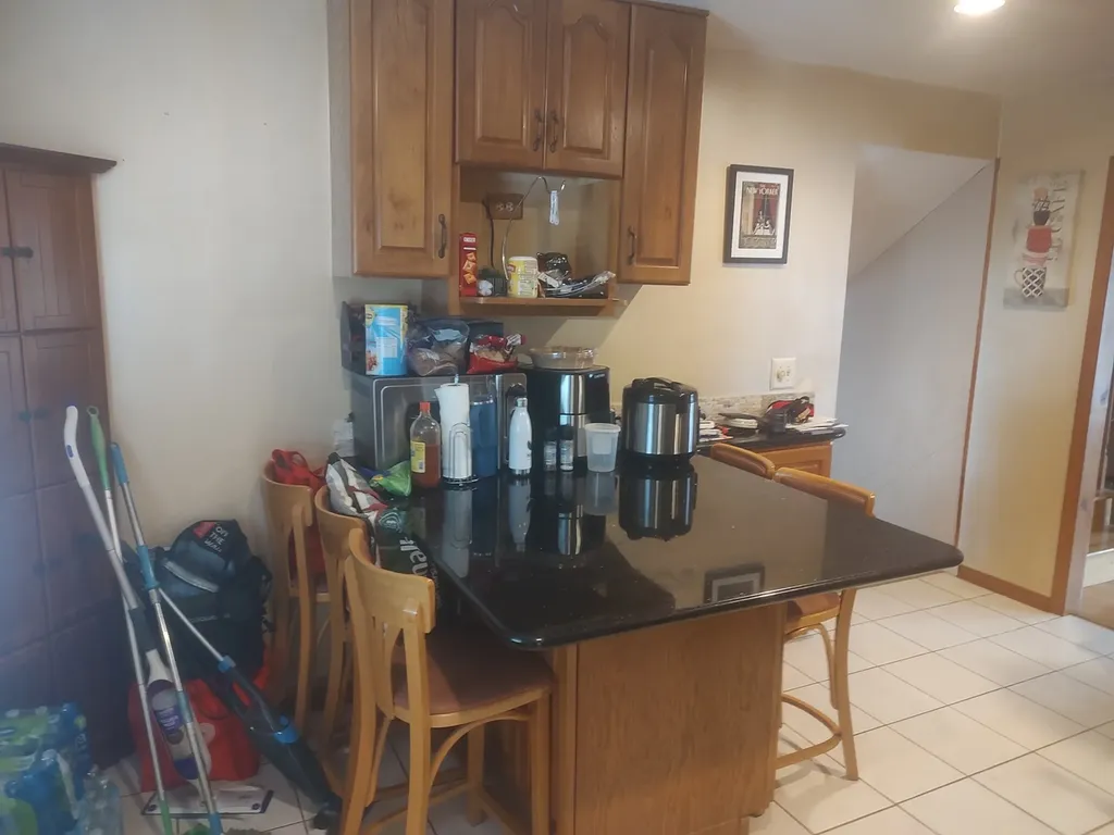 1420 West Jo Ann Lane Addison IL 60101