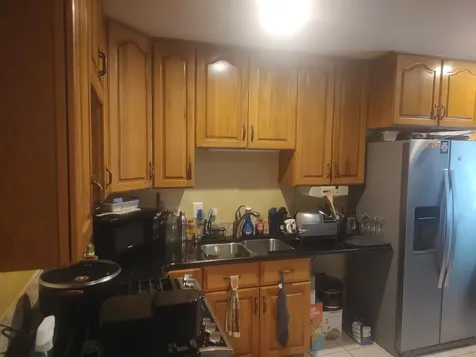 1420 West Jo Ann Lane Addison IL 60101