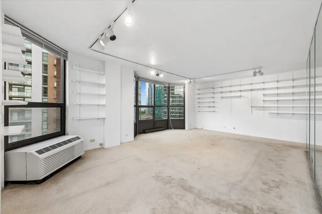 899 South Plymouth Court Chicago IL 60605