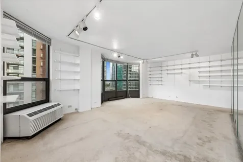 899 South Plymouth Court Chicago IL 60605