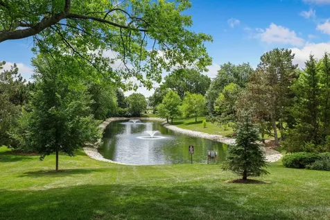 1393 West Shire Circle Inverness IL 60067