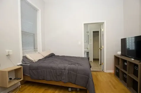 1252 North Greenview Avenue Chicago IL 60642