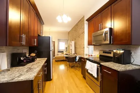 1252 North Greenview Avenue Chicago IL 60642