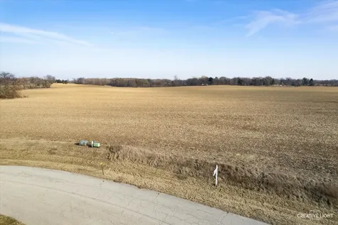 11114 Musgrave Parkway Huntley IL 60142