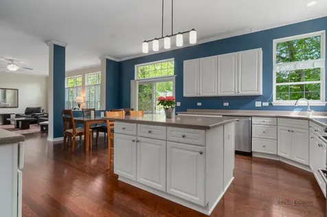 146 Colonial Drive Vernon Hills IL 60061