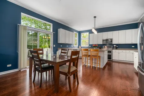 146 Colonial Drive Vernon Hills IL 60061