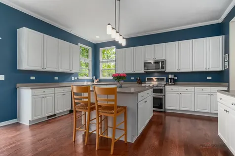 146 Colonial Drive Vernon Hills IL 60061