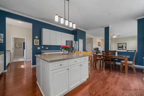146 Colonial Drive Vernon Hills IL 60061