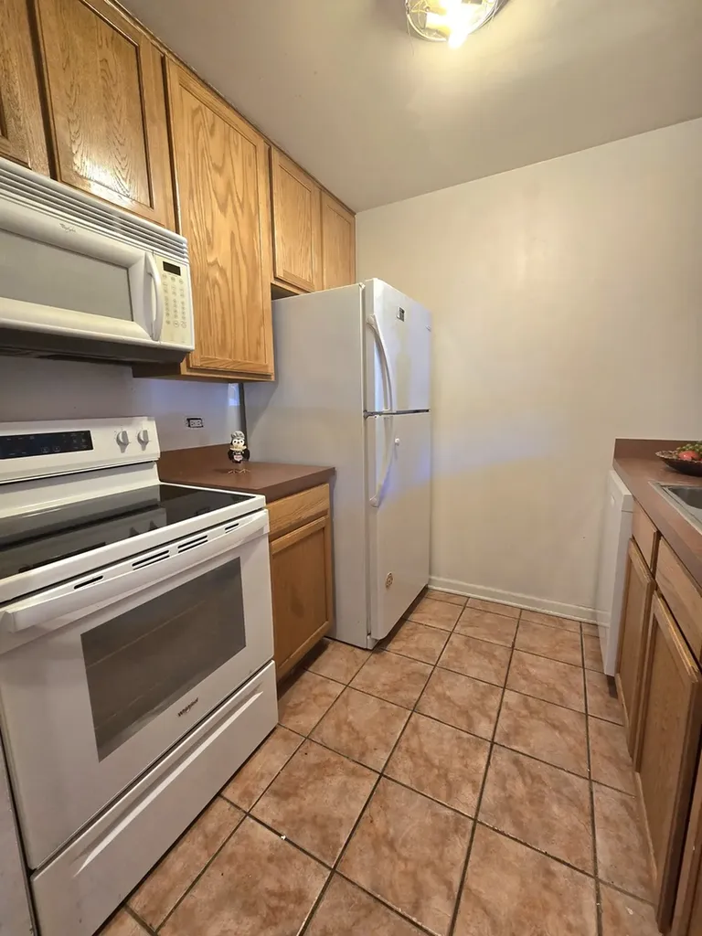 5921 Meadow Drive Lisle IL 60532