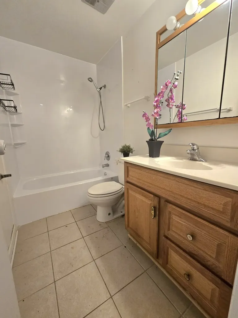 5921 Meadow Drive Lisle IL 60532