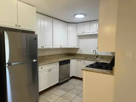 1321 North Baldwin Court Palatine IL 60074