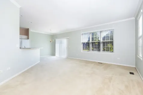 16567 Buckner Pond Way Crest Hill IL 60403