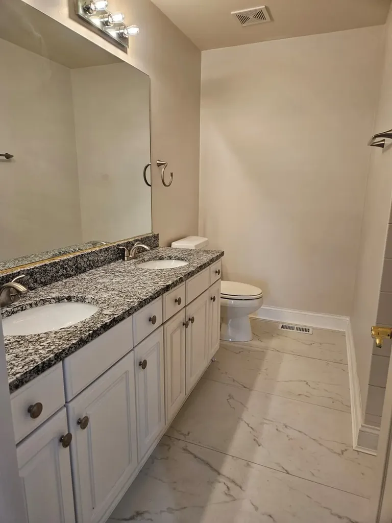 17 Mashie Court Woodridge IL 60517
