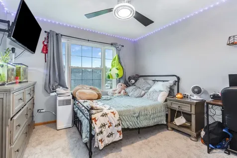 661 Chestnut Ridge Minooka IL 60447