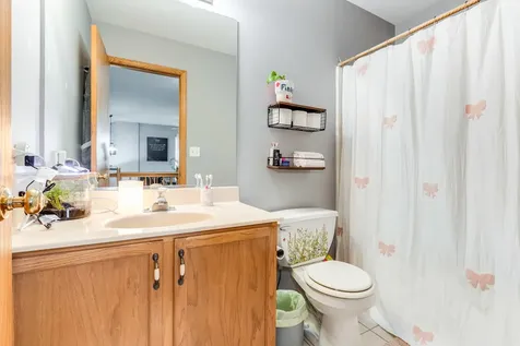 661 Chestnut Ridge Minooka IL 60447