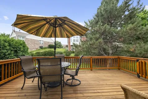 13236 Dunmurry Drive Orland Park IL 60462