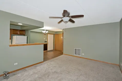 12928 West 159th Street Homer Glen IL 60491
