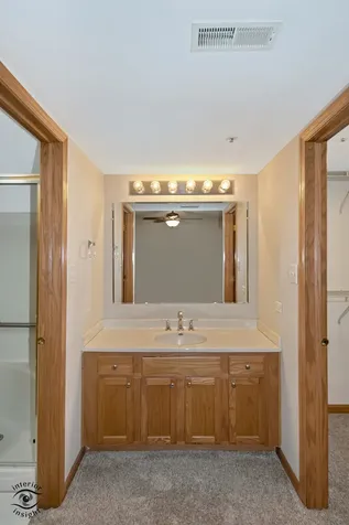 12928 West 159th Street Homer Glen IL 60491