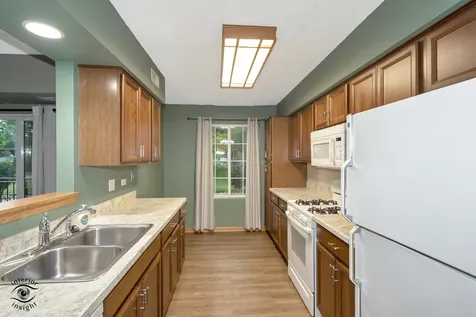 12928 West 159th Street Homer Glen IL 60491
