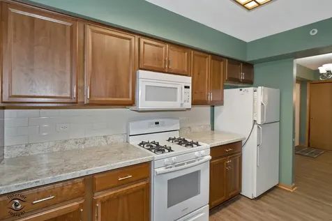 12928 West 159th Street Homer Glen IL 60491