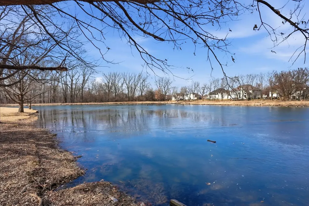 12312 Blue Iris Lane Plainfield IL 60585