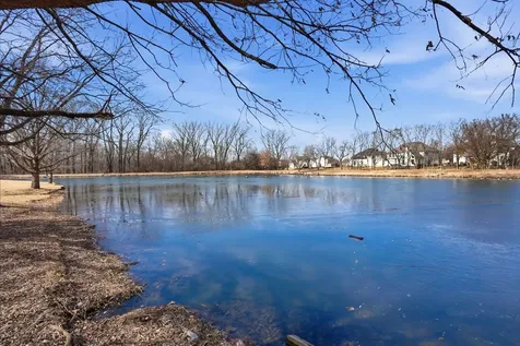 12312 Blue Iris Lane Plainfield IL 60585