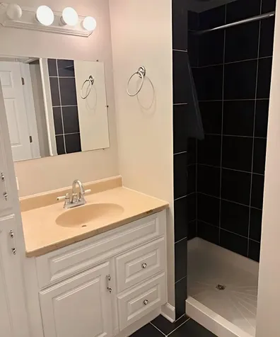 67 North Bridge View Street Palatine IL 60067