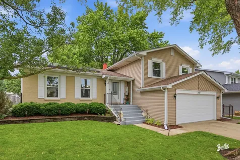 750 Dunhill Drive Buffalo Grove IL 60089