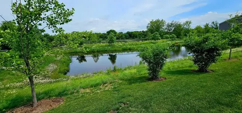 1039 Raupp Court Lake Zurich IL 60047