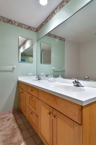 1107 Greenleaf Avenue Wilmette IL 60091