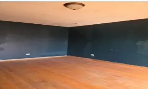 366 Luella Avenue Calumet City IL 60409