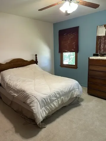 329 Shield Court Bolingbrook IL 60440