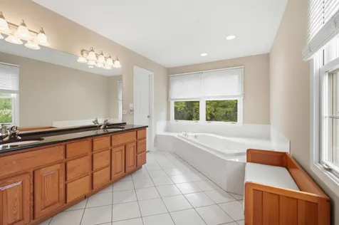 41 North Bridge View Street Palatine IL 60067