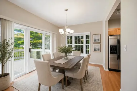 41 North Bridge View Street Palatine IL 60067