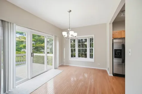 41 North Bridge View Street Palatine IL 60067