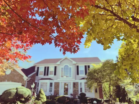 1438 Della Drive Hoffman Estates IL 60169