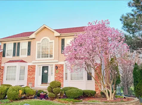 1438 Della Drive Hoffman Estates IL 60169