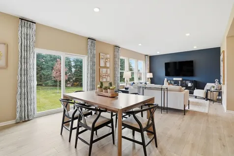 341 Danforth Drive Oswego IL 60543