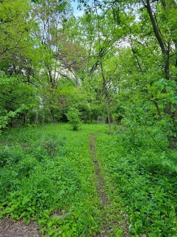 465 Bellaire Avenue Des Plaines IL 60016