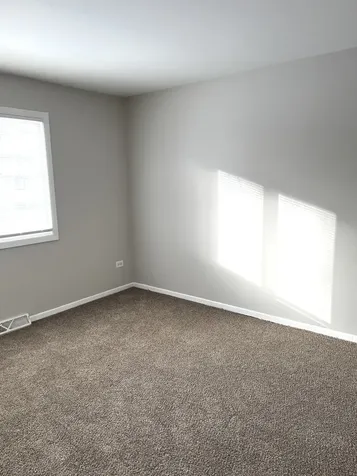 5249 Keith Drive Richton Park IL 60471